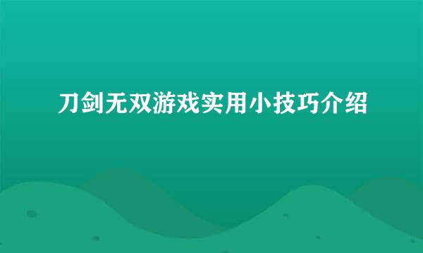 刀剑无双游戏实用小技巧介绍