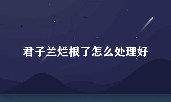 君子兰烂根了怎么处理好