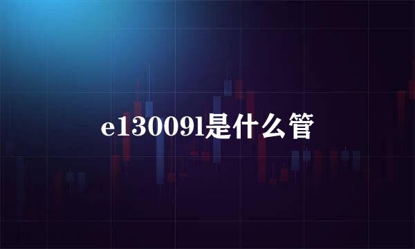 e13009l是什么管