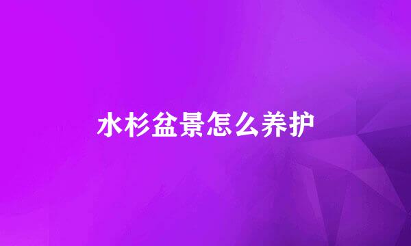 水杉盆景怎么养护