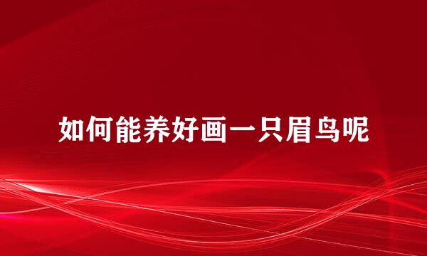 如何能养好画一只眉鸟呢