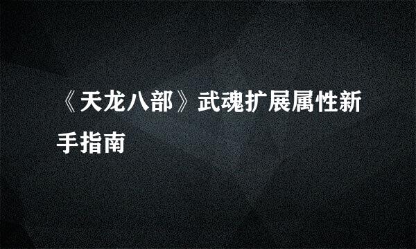 《天龙八部》武魂扩展属性新手指南