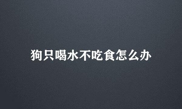 狗只喝水不吃食怎么办