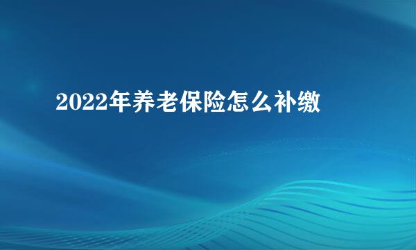 2022年养老保险怎么补缴