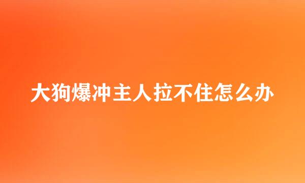 大狗爆冲主人拉不住怎么办