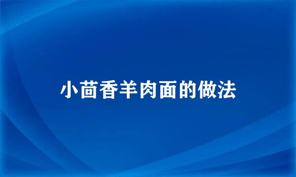 小茴香羊肉面的做法