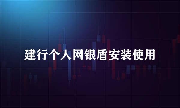 建行个人网银盾安装使用
