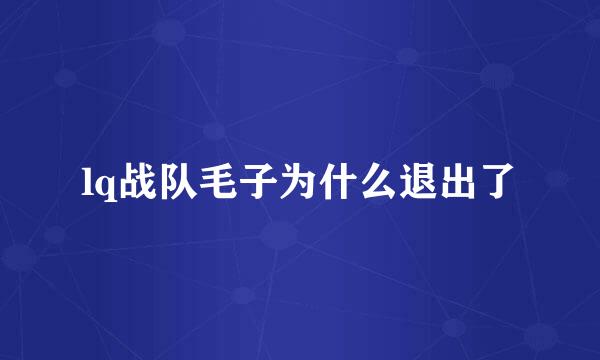 lq战队毛子为什么退出了