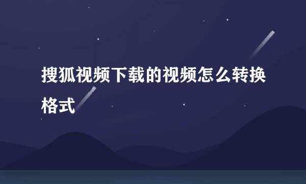 搜狐视频下载的视频怎么转换格式