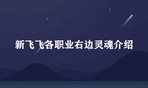 新飞飞各职业右边灵魂介绍