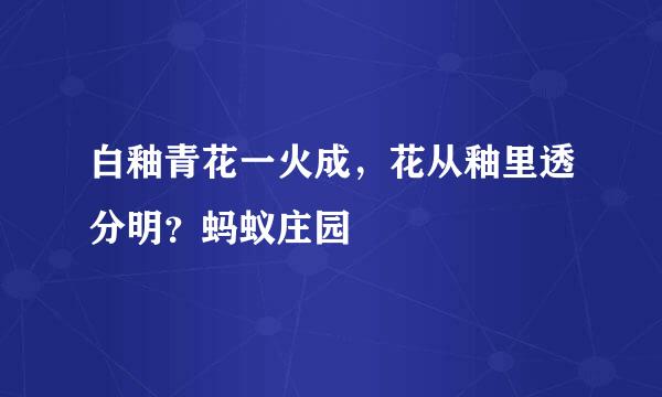 白釉青花一火成，花从釉里透分明？蚂蚁庄园