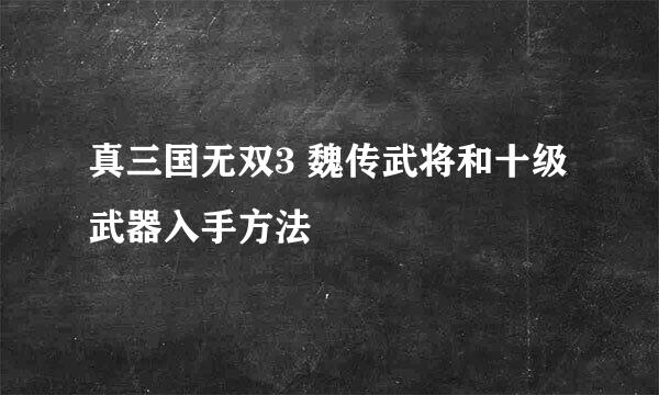 真三国无双3 魏传武将和十级武器入手方法