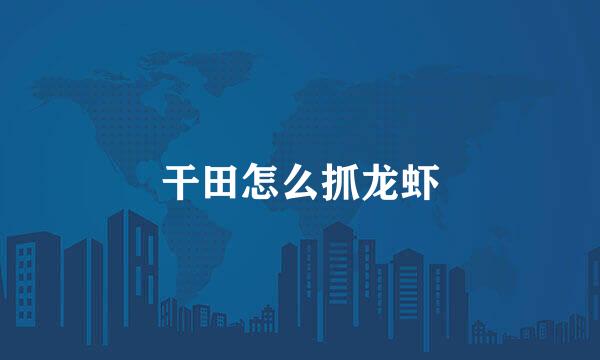 干田怎么抓龙虾