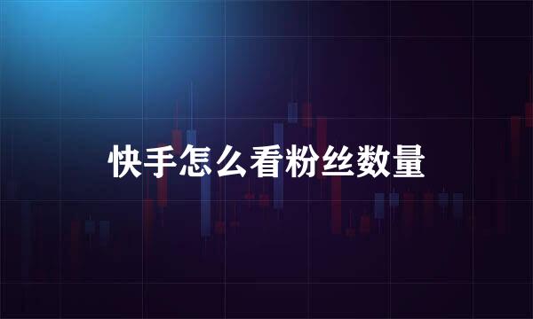 快手怎么看粉丝数量
