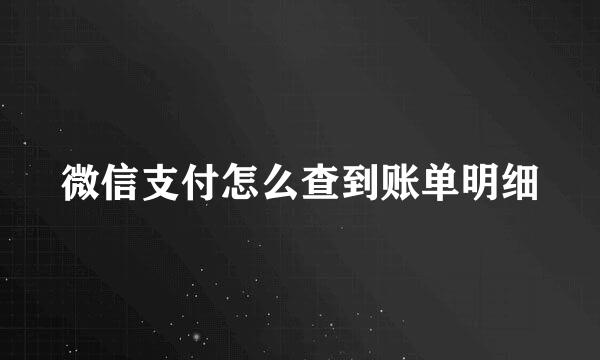 微信支付怎么查到账单明细