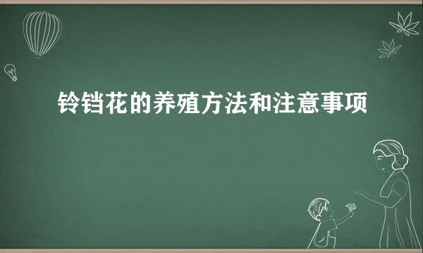 铃铛花的养殖方法和注意事项