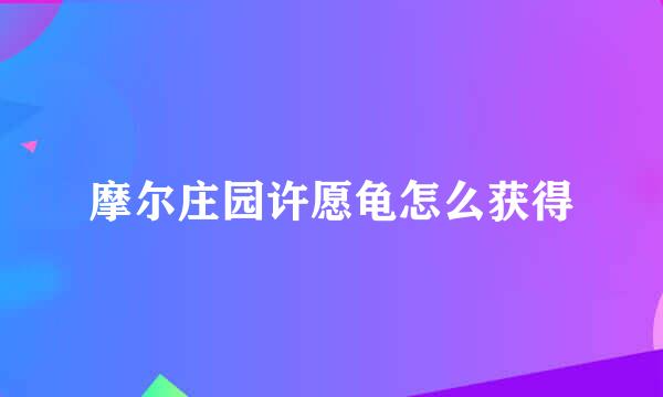 摩尔庄园许愿龟怎么获得