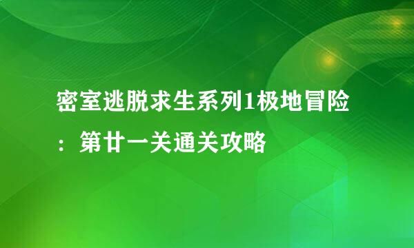 密室逃脱求生系列1极地冒险：第廿一关通关攻略