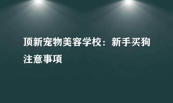 顶新宠物美容学校：新手买狗注意事项