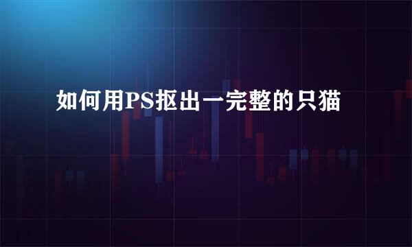 如何用PS抠出一完整的只猫