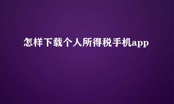 怎样下载个人所得税手机app