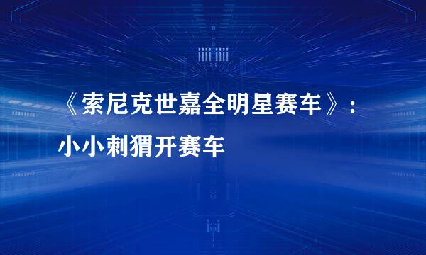 《索尼克世嘉全明星赛车》：小小刺猬开赛车
