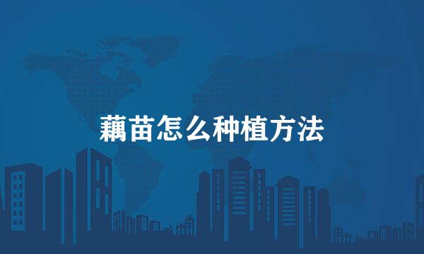 藕苗怎么种植方法