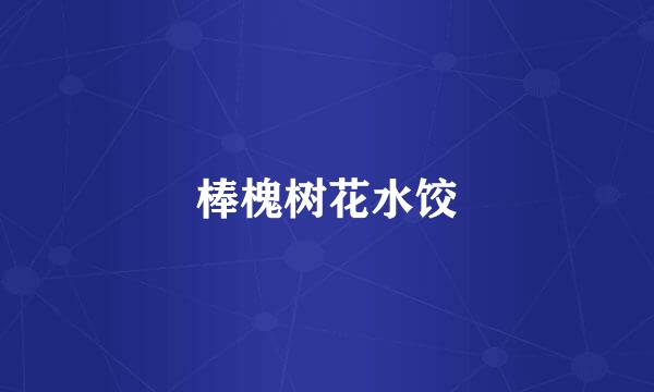 棒槐树花水饺