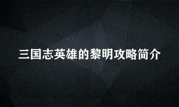 三国志英雄的黎明攻略简介