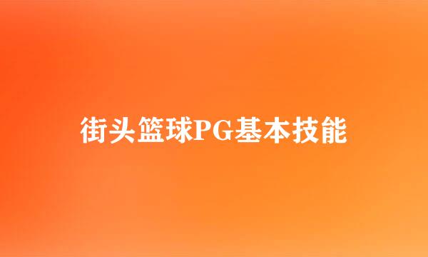 街头篮球PG基本技能