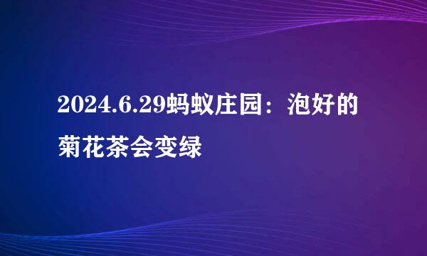 2024.6.29蚂蚁庄园：泡好的菊花茶会变绿