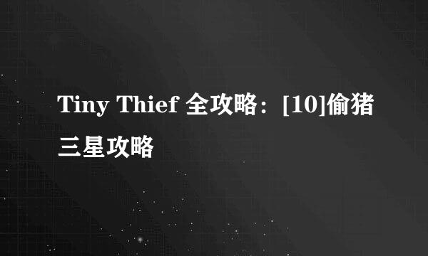 Tiny Thief 全攻略：[10]偷猪三星攻略
