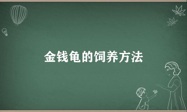 金钱龟的饲养方法