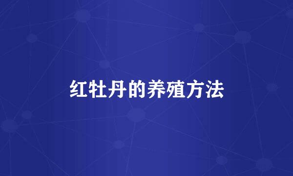 红牡丹的养殖方法