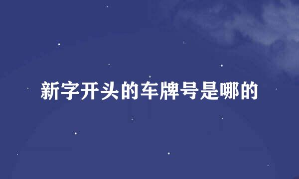 新字开头的车牌号是哪的