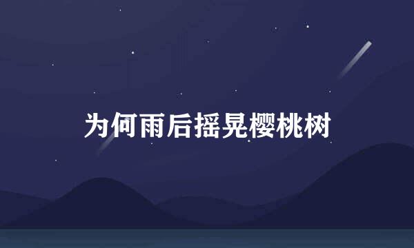 为何雨后摇晃樱桃树