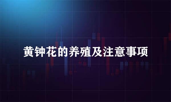 黄钟花的养殖及注意事项