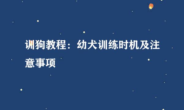 训狗教程：幼犬训练时机及注意事项