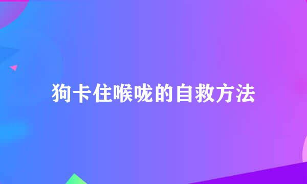 狗卡住喉咙的自救方法