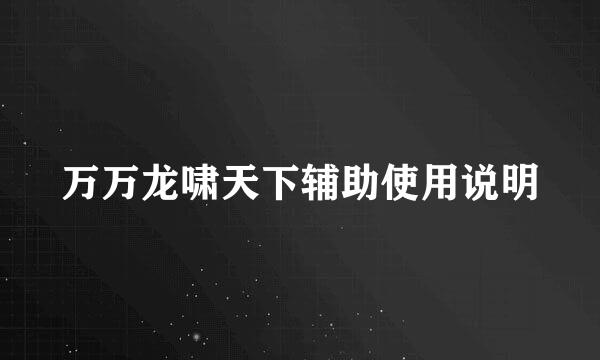 万万龙啸天下辅助使用说明