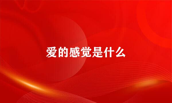 爱的感觉是什么