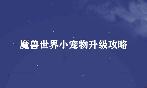 魔兽世界小宠物升级攻略