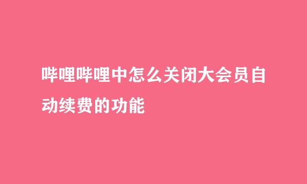 哔哩哔哩中怎么关闭大会员自动续费的功能