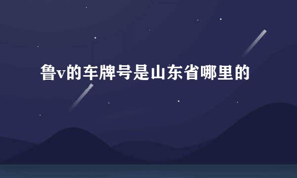 鲁v的车牌号是山东省哪里的