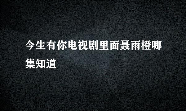 今生有你电视剧里面聂雨橙哪集知道