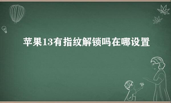 苹果13有指纹解锁吗在哪设置