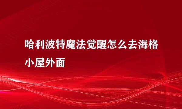 哈利波特魔法觉醒怎么去海格小屋外面