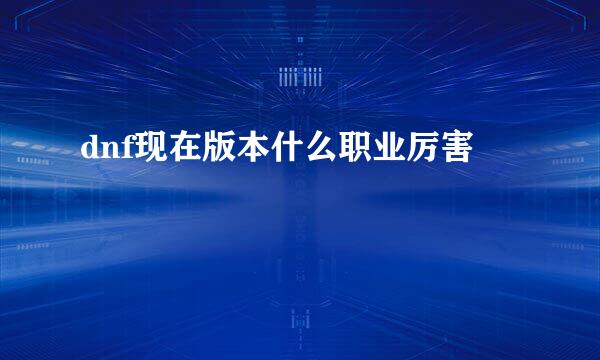 dnf现在版本什么职业厉害