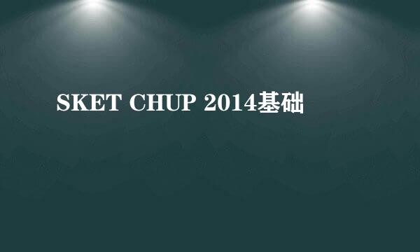 SKET CHUP 2014基础