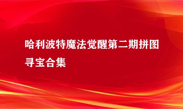 哈利波特魔法觉醒第二期拼图寻宝合集
